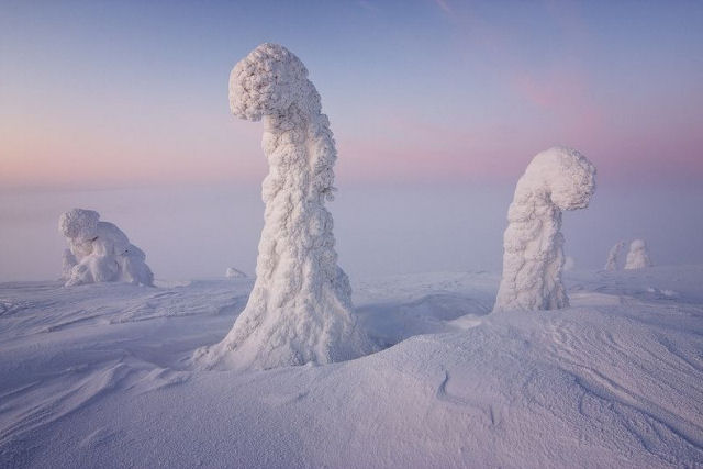Formaes de gelo dramticas imitam criaturas sobrenaturais nas montanhas de Harz