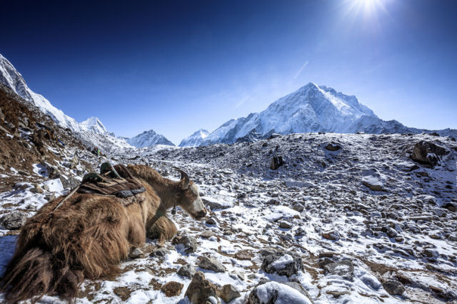 Himalaia o teto do mundo que deixa qualquer um 'sem fôlego'