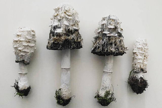 Esculturas bordadas recriam cogumelos, liquens e fungos realistas em fio