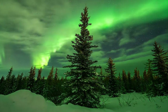 Uma compilação magnífica da Aurora Boreal iluminando os céus de Fort Yukon, Alasca