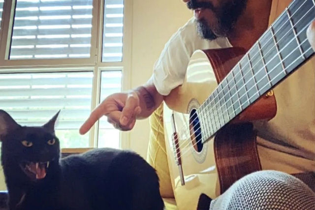 Gato preto 'canta' com seu humano tocando violão