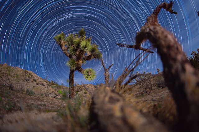Um lindo time-lapse do céu noturno do deserto de Mojave