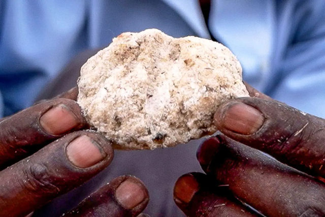 Por que o sal de junco-de-rio produzido no Quênia é tão caro