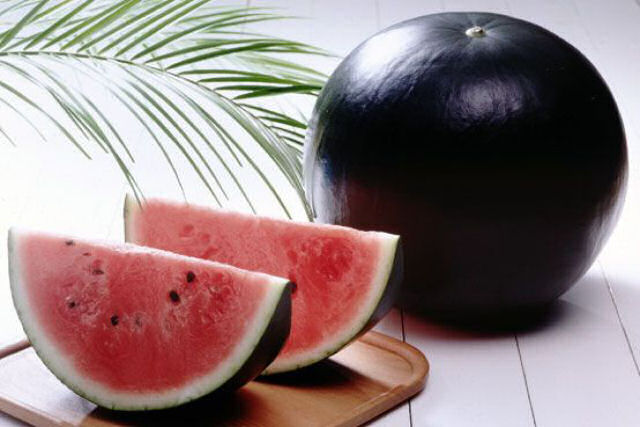 Melancia Densuke: a melancia preta japonesa que custa uma fortuna