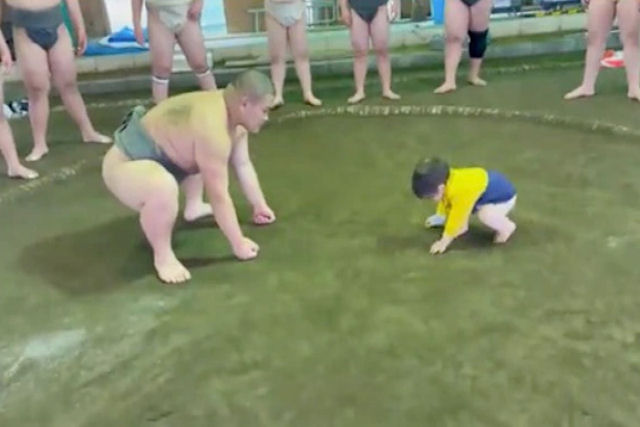 Lutador de sumô contra bebê de 16 meses: a luta mais fofa que você verá hoje
