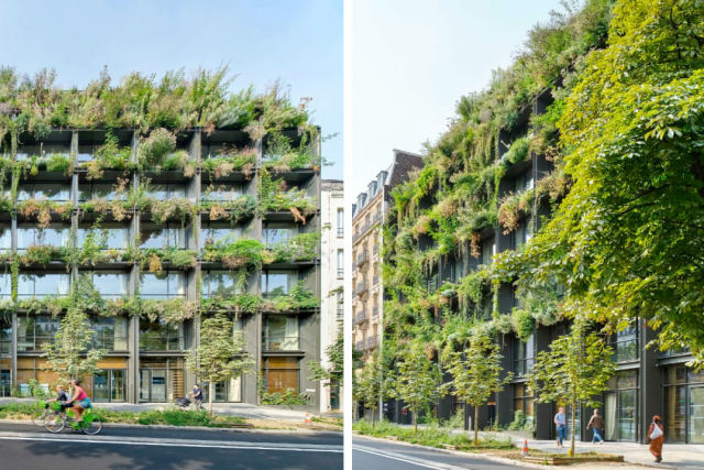 Um jardim vertical luxuriante brota de uma fachada minimalista repleta de janelas em Paris