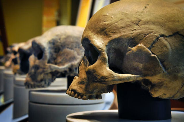 Humanos antigos tinham vidas sexuais extremamente complicadas