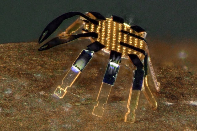 O menor robô do mundo é tão pequeno quanto uma pulga e pode andar à borda de um centavo