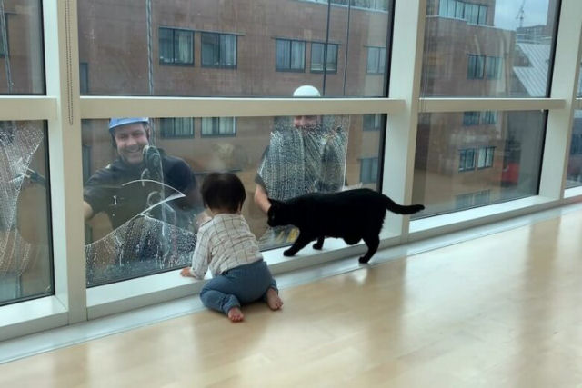 Menininha e seu gato preto ficam fascinados assistindo os lavadores de janelas