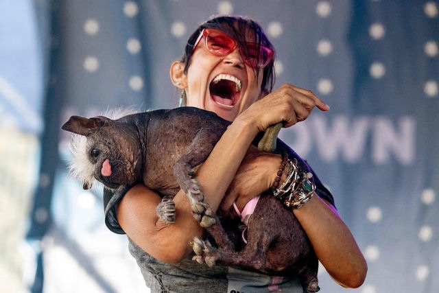 Mr. Happy Face é coroado na competição do 'cão mais feio do mundo'
