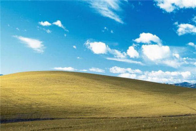 A histria por trs do papel de parede 'Felicidade' do Windows XP, a fotografia mais vista do mundo