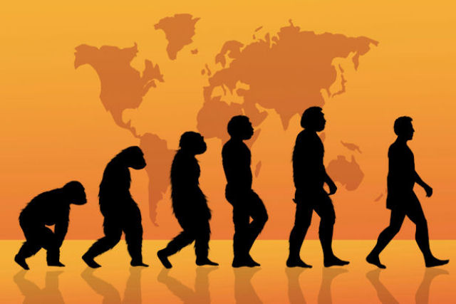 O que realmente aconteceu logo aps a publicao da teoria da evoluo?