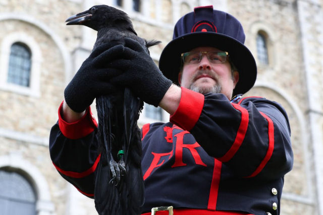 Por que a Torre de Londres tem sempre ao menos 7 corvos?