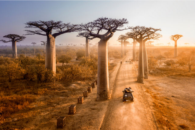 Madagascar, um mundo  parte