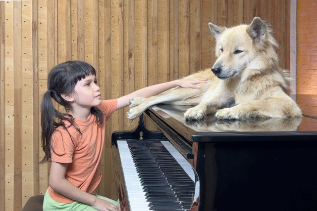 Menina de 7 anos toca piano para seu cachorro adotado