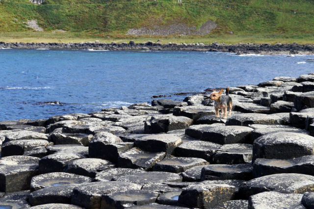 A Calçada dos Gigantes, uma esquisitice geológica na Irlanda do Norte