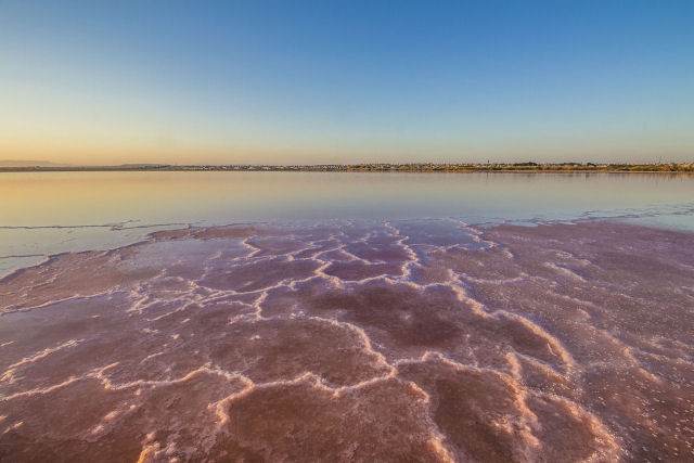 Bactrias e algas do  gua salgada do lago de Torrevieja sua tonalidade chiclete, na Espanha