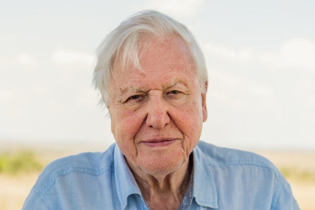 O lendrio Sir David Attenborough comemorou seu 97 aniversrio