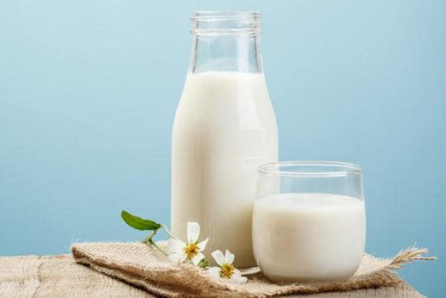 Leite: superalimento ou veneno?  necessrio tomar leite para manter uma boa sade?