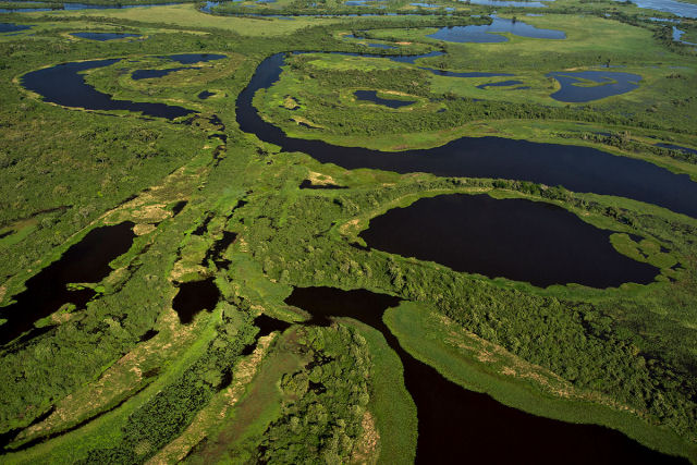 Do Pantanal às Cataratas do Iguaçu: a biodiversidade que faz os naturalistas salivarem