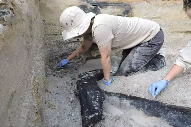 Arquelogos descobrem a estrutura de madeira mais antiga do mundo: meio milho de anos