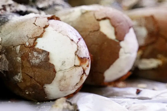 O ovo de dinossauro  um dos sais mais raros do mundo
