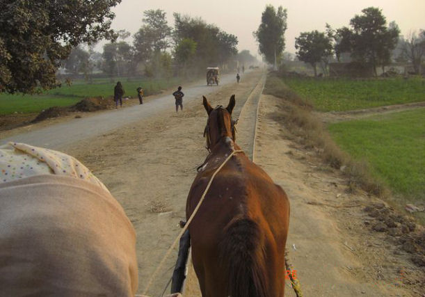 A ferrovia centenária operada por cavalos construída por um filantropo extraordinário no Paquistão