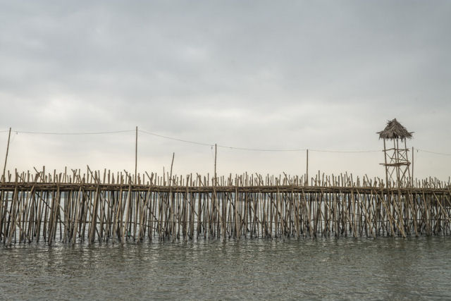 Ponte de bambu  construda e desmontada todos os anos, no Camboja