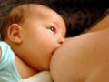 Poderia o leite materno ajudar na cura do câncer em adultos?