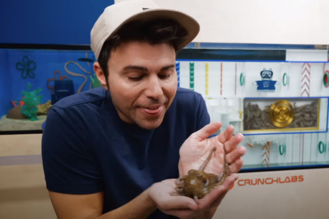 Youtuber constrói labirinto subaquático para testar a inteligência de um polvo