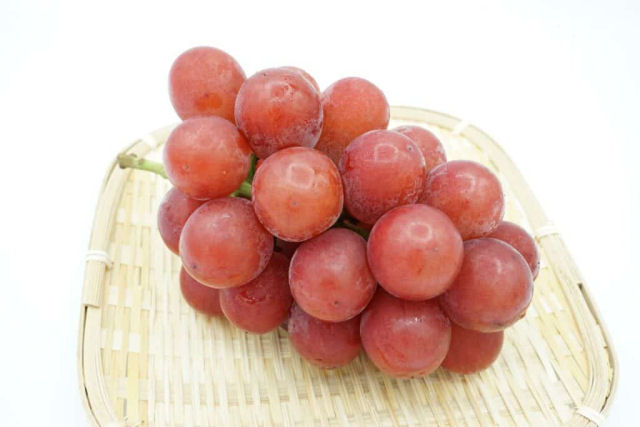 Por que as uvas rubi-romanas são tão absurdamente caras no Japão?
