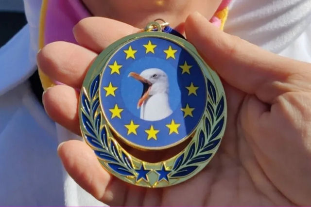 Parece que a competio europeia de guinchos de gaivota  levada bem a srio