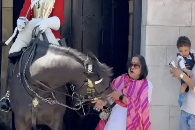 Mulher  mordida pelo cavalo da guarda do rei em Londres enquanto posava para foto