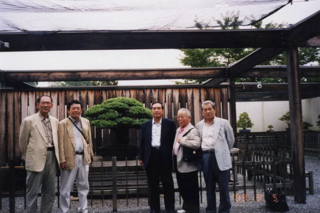 Bonsai de 392 anos sobreviveu  Hiroshima e ainda floresce hoje