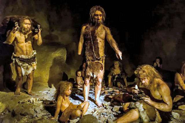 Neandertais cuidaram de criana de 6 anos com sndrome de Down, revela descoberta de fssil