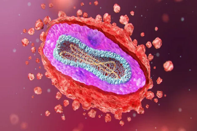 OMS declara o surto de mpox na frica uma emergncia internacional