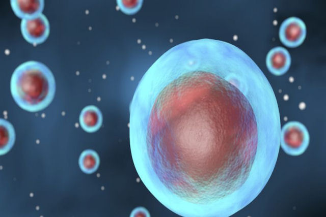 O organismo unicelular que quase exterminou a vida na Terra