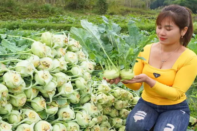 Garota vietnamita faz sucesso na rede com suas apuradas tcnicas agrcolas