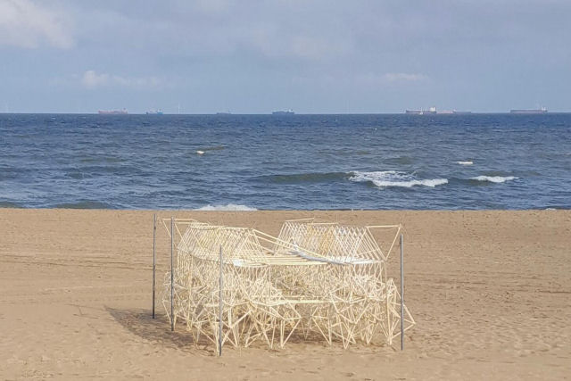 Animaris Tenere, um rebanho de quatro criaturas que se seguram firmemente umas s outras em uma praia ventosa