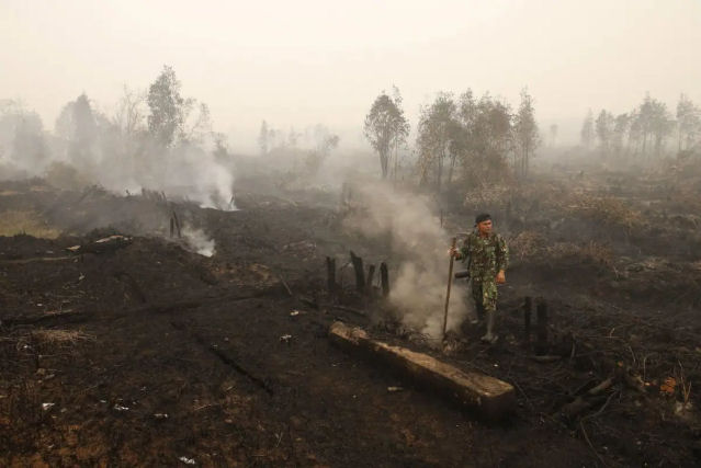 Por que incendios zumbis podem causar grandes estragos?