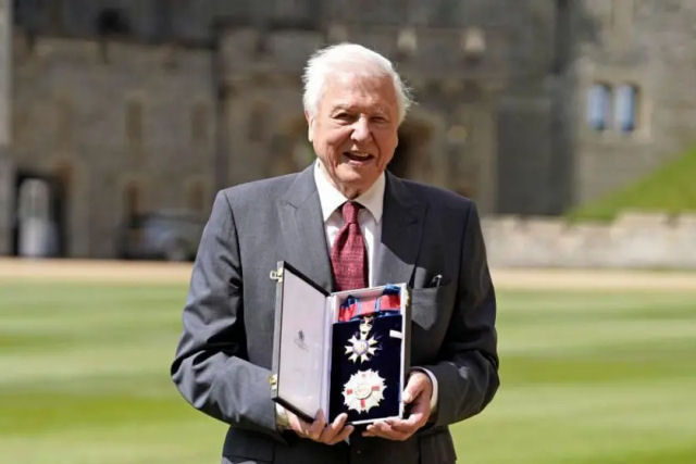 Seis horas dos 99 momentos mais icnicos de Sir David Attenborough