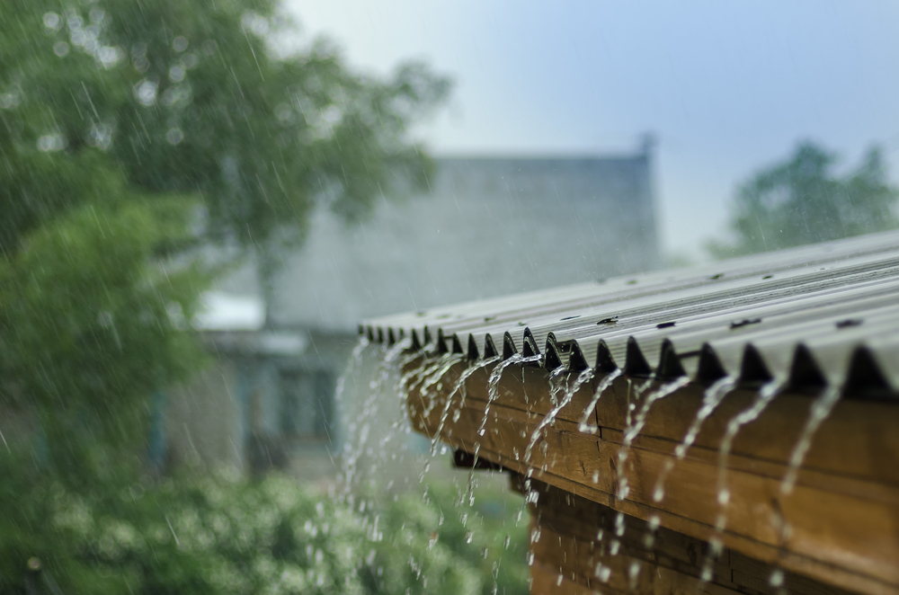 Cidade indiana cria perfume com o cheiro da chuva h milhares de anos