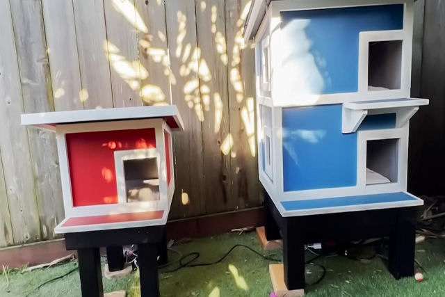 Marceneiro constri casinhas aquecidas para gatos selvagens que vivem em seu quintal