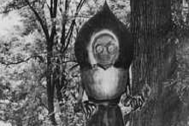 Monstro de Flatwoods, um legado de medo e ceticismo