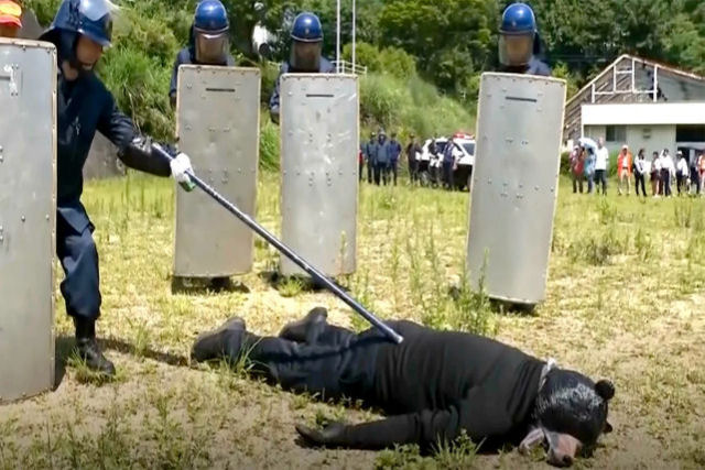 Homem veste fantasia de urso em exerccio de ataque de animais pela polcia japonesa