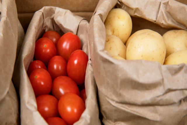 A batata evoluiu do tomate h 9 milhes de anos