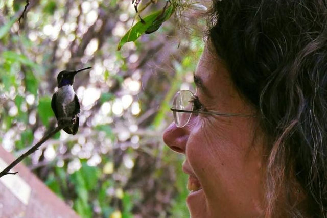 A geloga que  encantadora de beija-flores