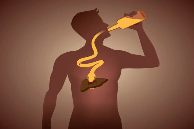 Como o consumo de lcool afeta o corpo humano?