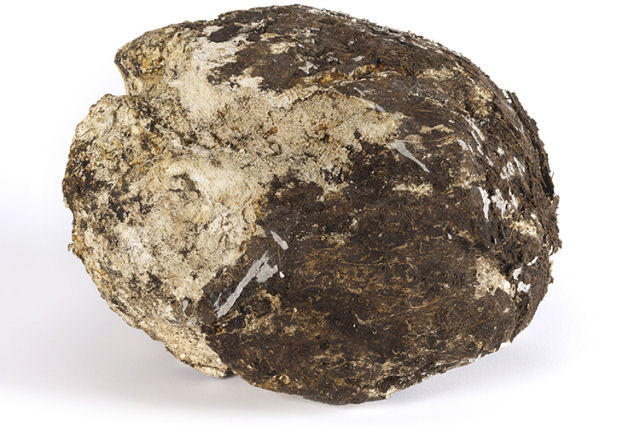 Manteiga de pntano irlandesa comprovadamente est '3500 anos' alm da data de validade