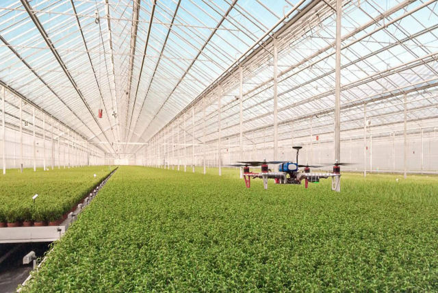 Como um pequeno pas como a Holanda se tornou o segundo maior exportador agrcola do mundo?